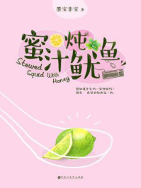 蜜汁燉魷魚小说封面