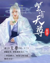 紫宵天尊小說封面